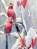 پرنده های برفی