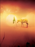 ذوالجناح