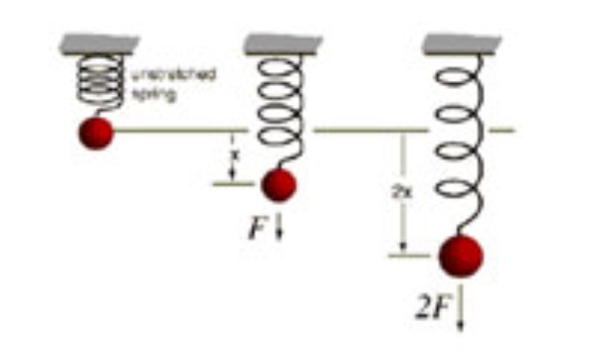 Мод sound physics. Hooke's Law. Hookes Law of Elasticity. Hooke's Law Worksheet. Stretched and compressed.