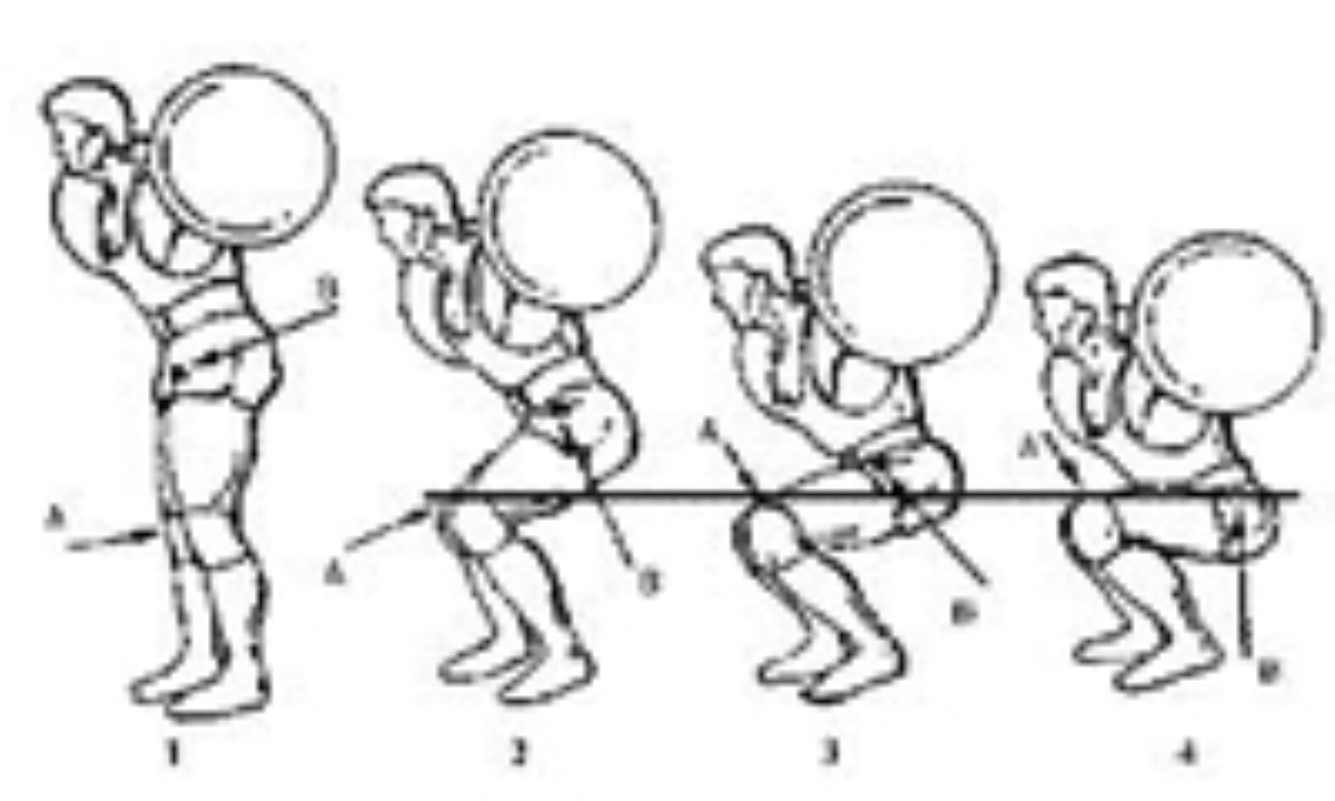 Приседание со штангой на плечах техника выполнения