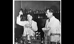درگذشت خانم "گرتي ترزا كوري" برنده جايزه نوبل پزشكي (1957م)