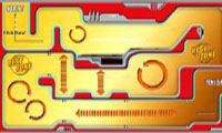 تمرکز حواس