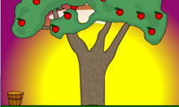 سیب ها - Apples