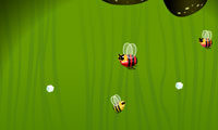 فرار زنبور-bee run