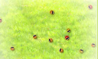 حشرات رنگی - colored bugs