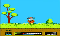 شکار اردک-Duck Hunt
