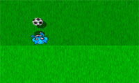 فوتبال گربه-Football Cats