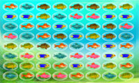 جابجایی ماهی ها-Handling fish