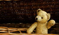 خرس قدیمی-Old Bear