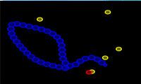 مار محبوب-Snake Popular