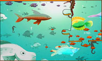پازل 3 بعدی-Puzzle 3D