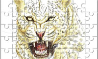 صورت پلنگ-Panther face