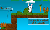 سفر خرگوش - Travel Rabbit