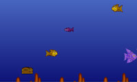 زندگي دريايي - Marine Life