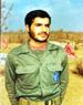 محمد رضا قربانزاده