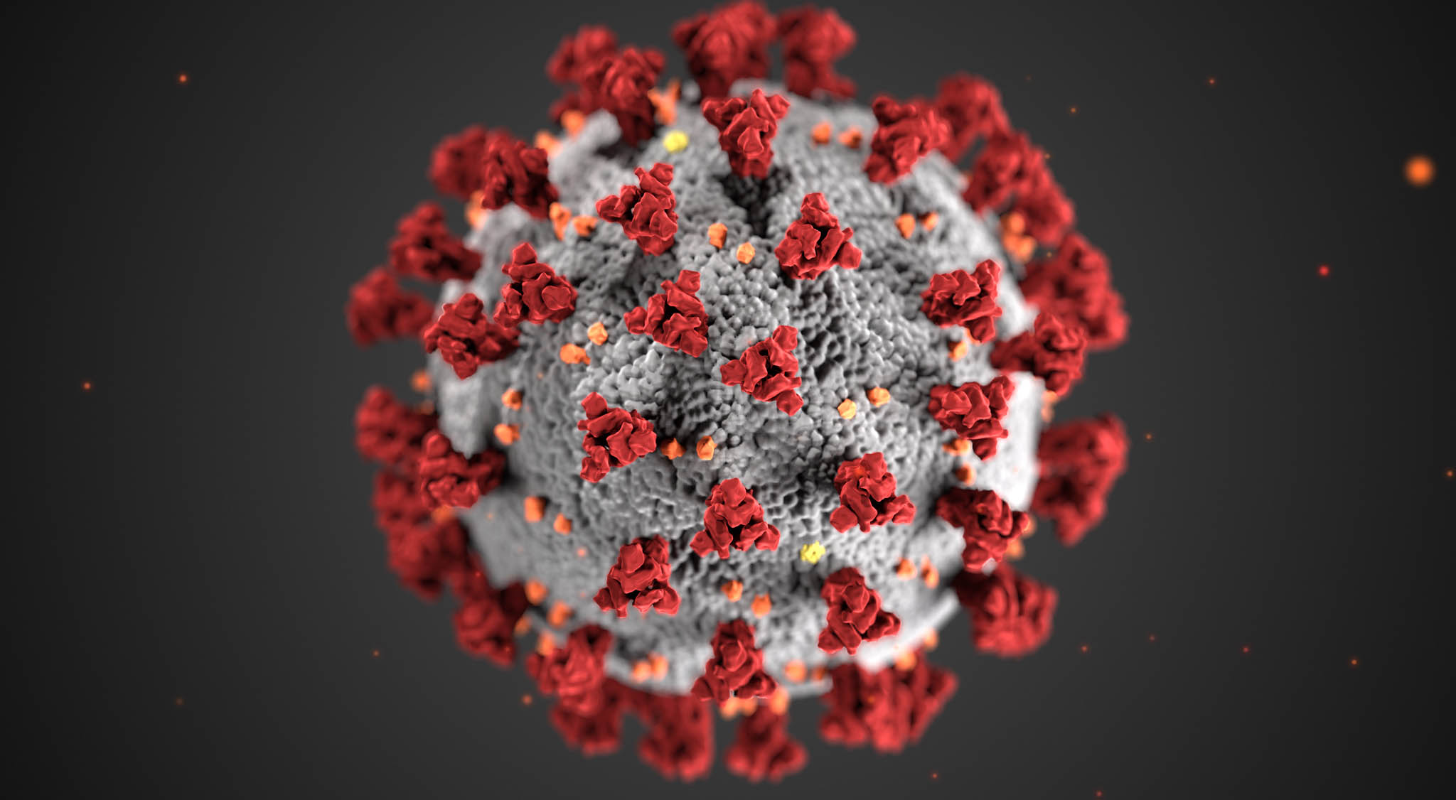 اولین تصویر سه بعدی واقعی از ویروس کرونا ایجاد شد