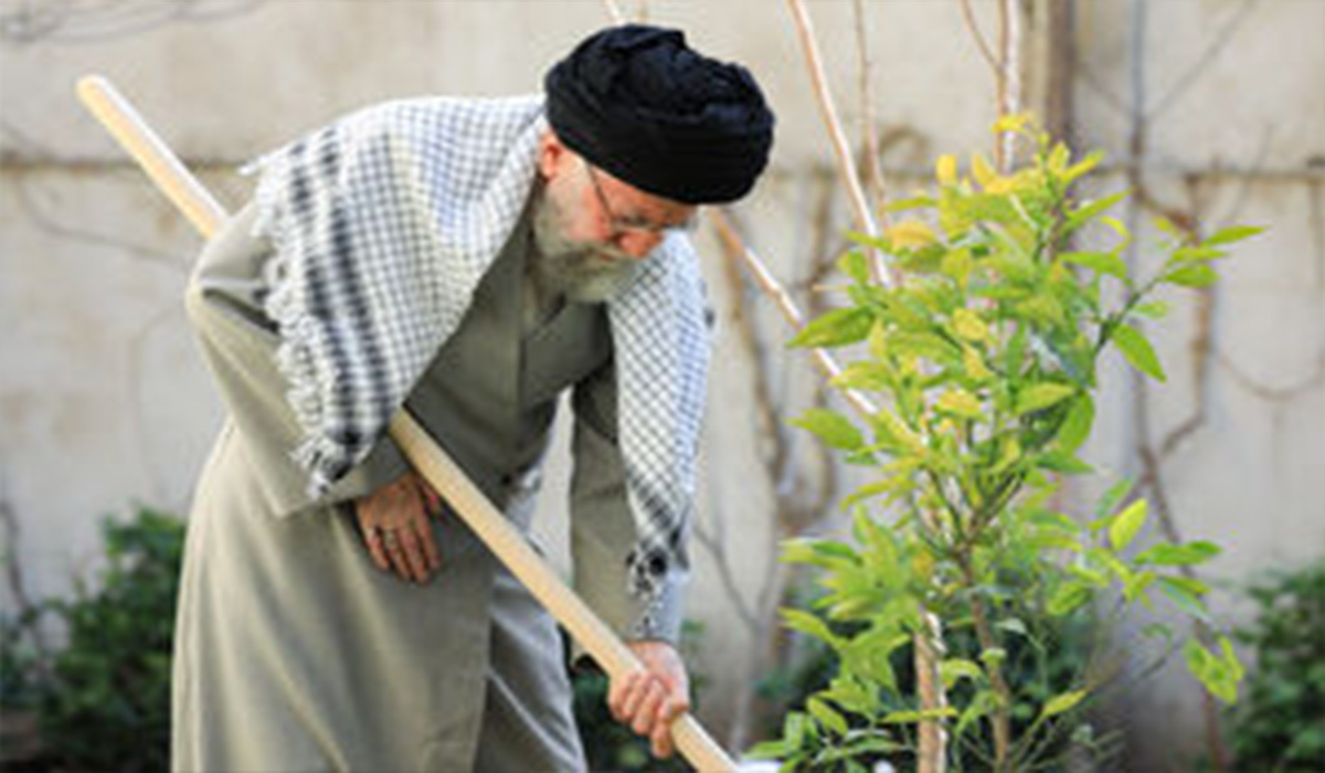 وضع اقتصادی که وابسته‌ی به یک محصول باشد یا اینها به همین جایی میرسد که امروز شما ملاحظه میکنید