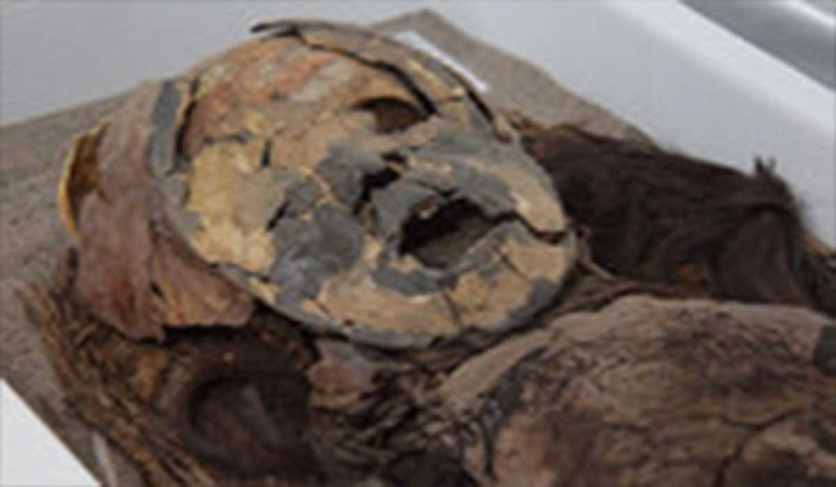 قدیمی‌ترین مومیایی‌های کشف شده تاریخ