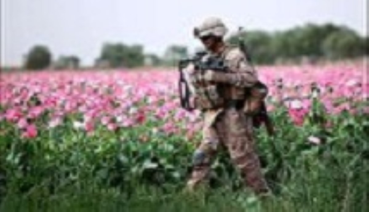 افغانستان؛ بزرگترین مرکز تولید مواد مخدر جهان