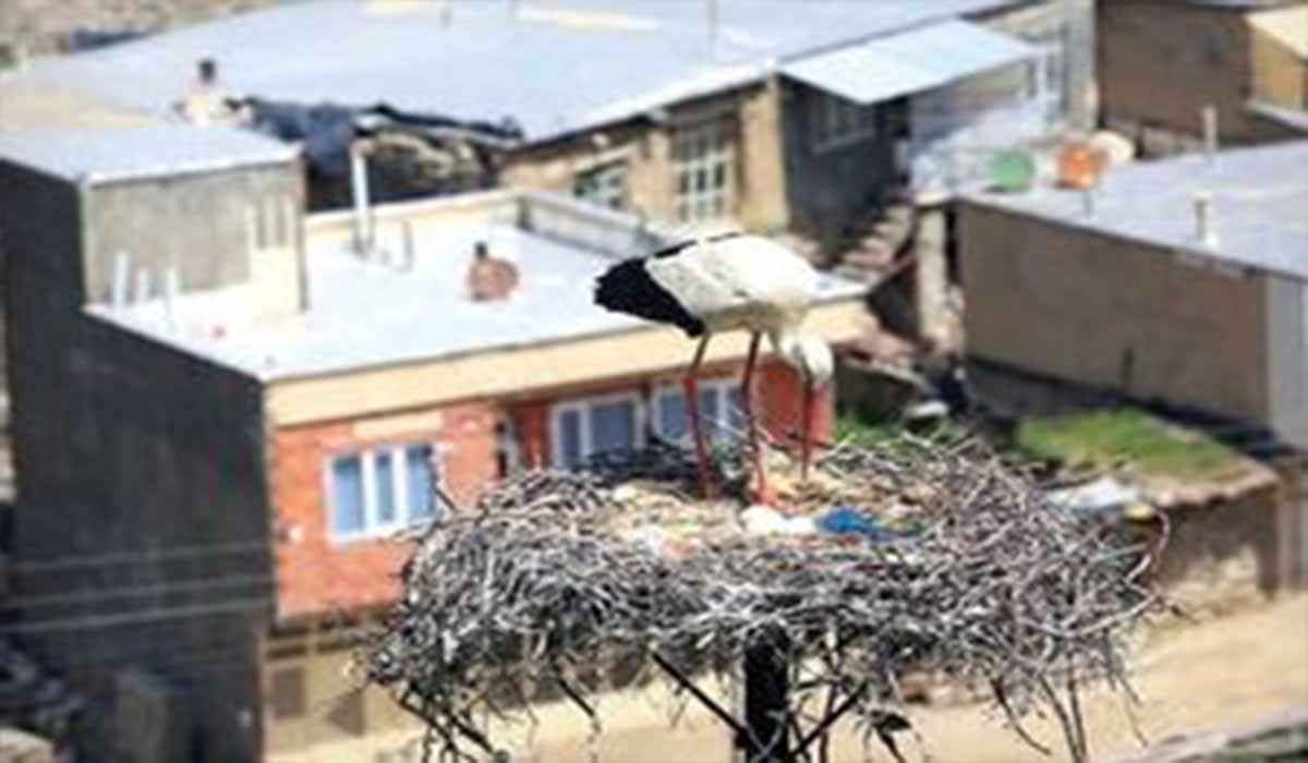 روستای لک‌لک‌ها