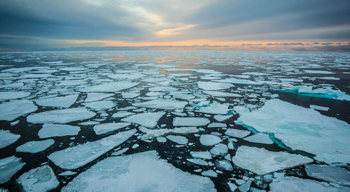 تصاویر تکان دهنده از آب شدن یخ‌های قطبی