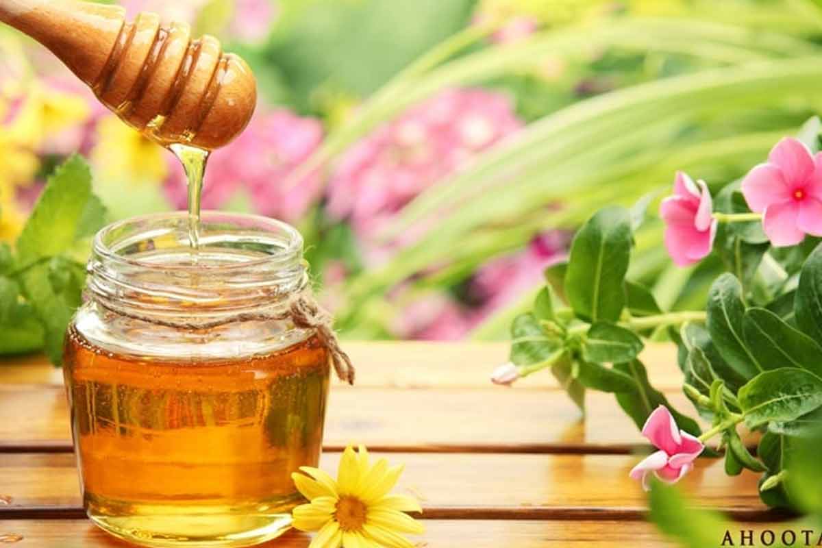 روش علمی شناخت عسل اصیل