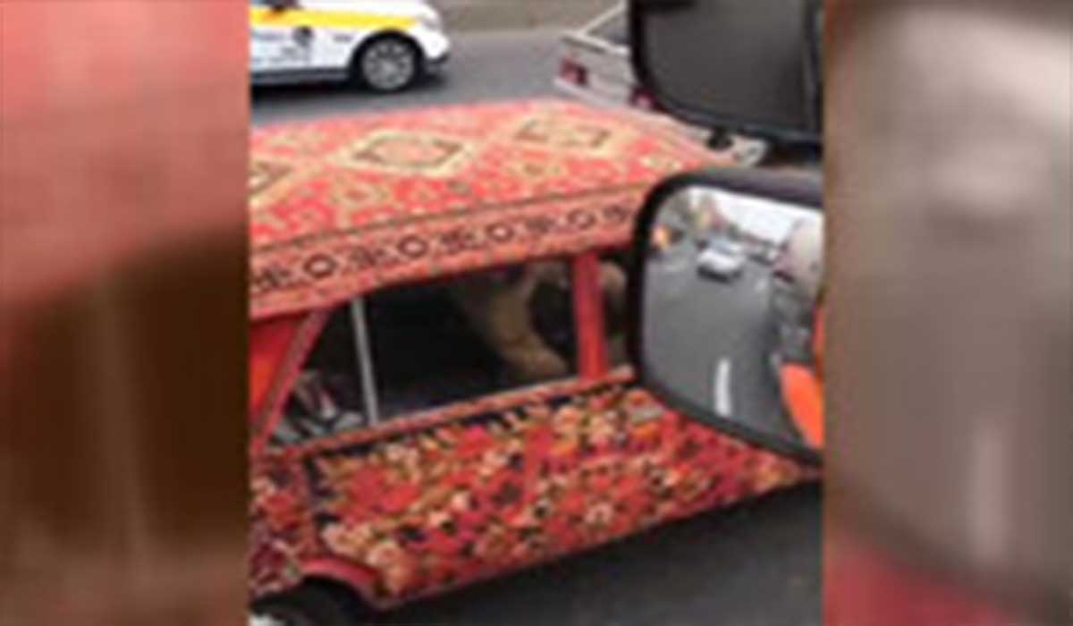 تزئین تماشایی ماشین با فرش‌های ایرانی توسط شهروند روسی!
