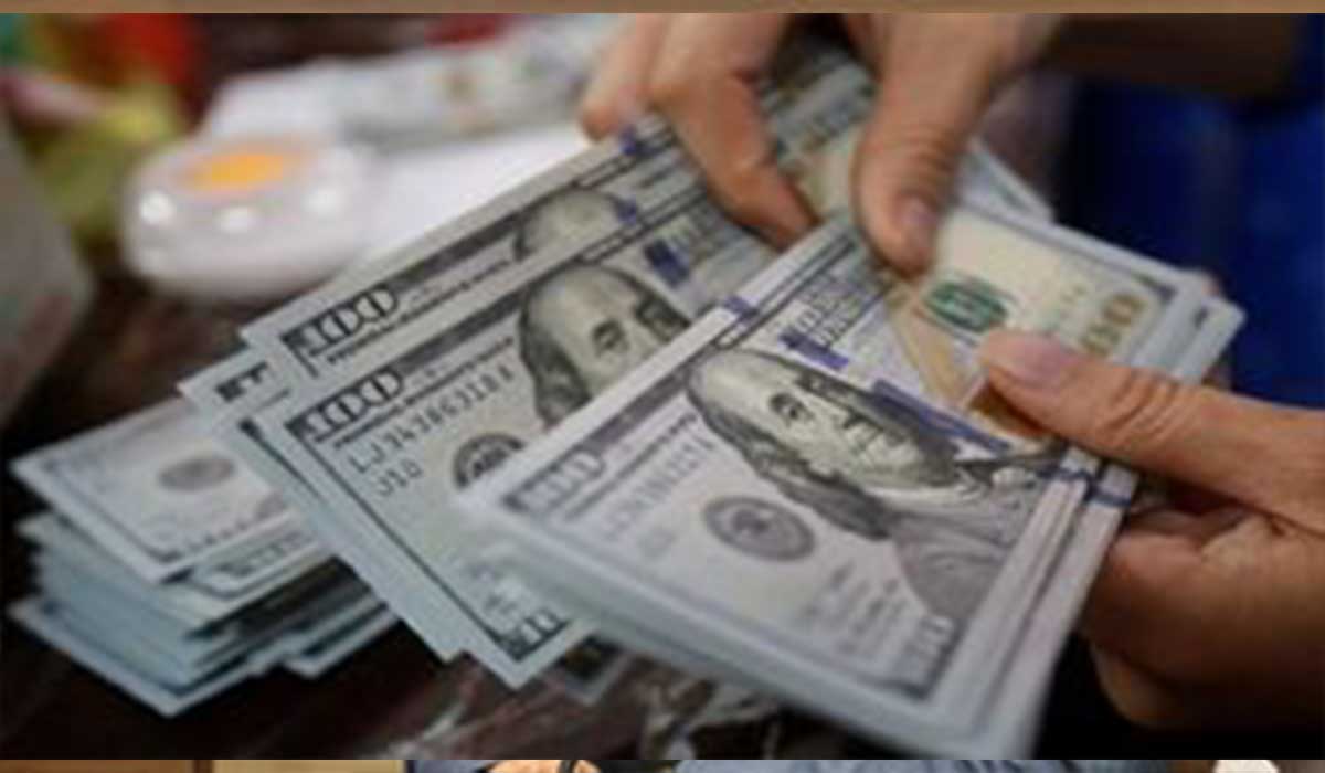 چرایی افزایش قیمت دلار از نگاه وزیر رفاه
