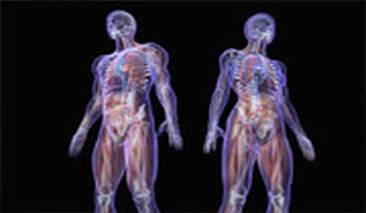 تکنولوژی جدید برای دیدن داخل بدن