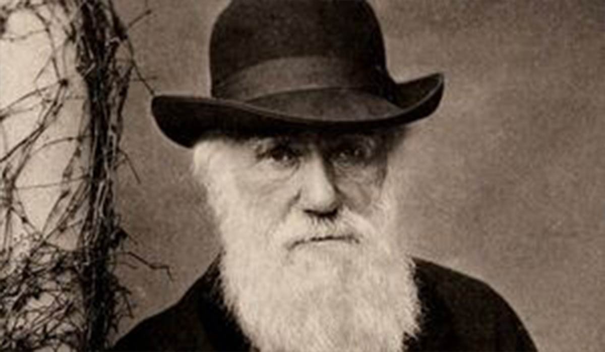 سرنوشت تلخ مخالفان آمریکایی داروین