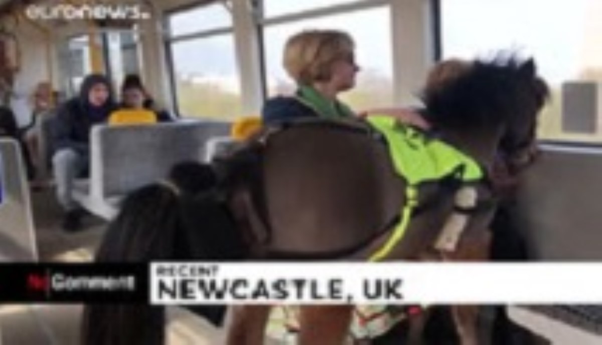 کره اسبی که صاحب کم‌بینایش را سوار مترو می‌کند