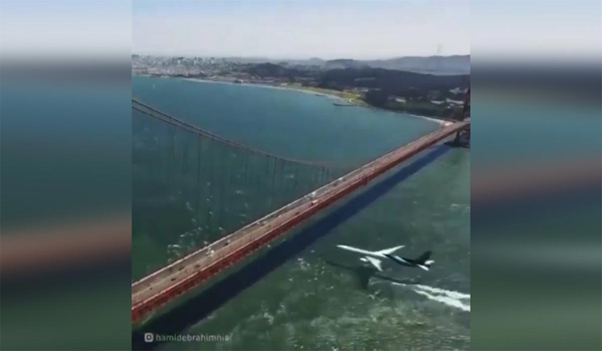 ویدیوی خارق العاده از عبور هواپیما از زیر پل سانفرانسیسکو