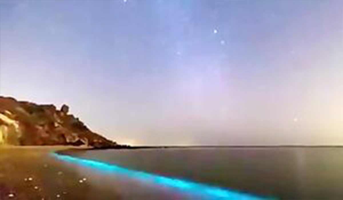 فیتوپلانکتون‌ها پدیده‌ ای زیبا در خلیج‌ فارس