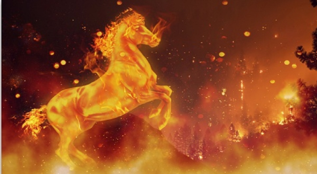عشق به خانواده یک اسب در میان شعله‌ های آتش