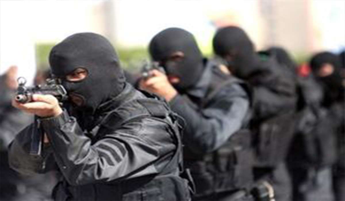 دستگیری گروهک تروریستی توسط سربازان گمنام امام زمان(عج)