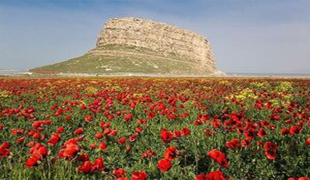 منظره دیدنی از بهار روستای گؤرچین قلعه