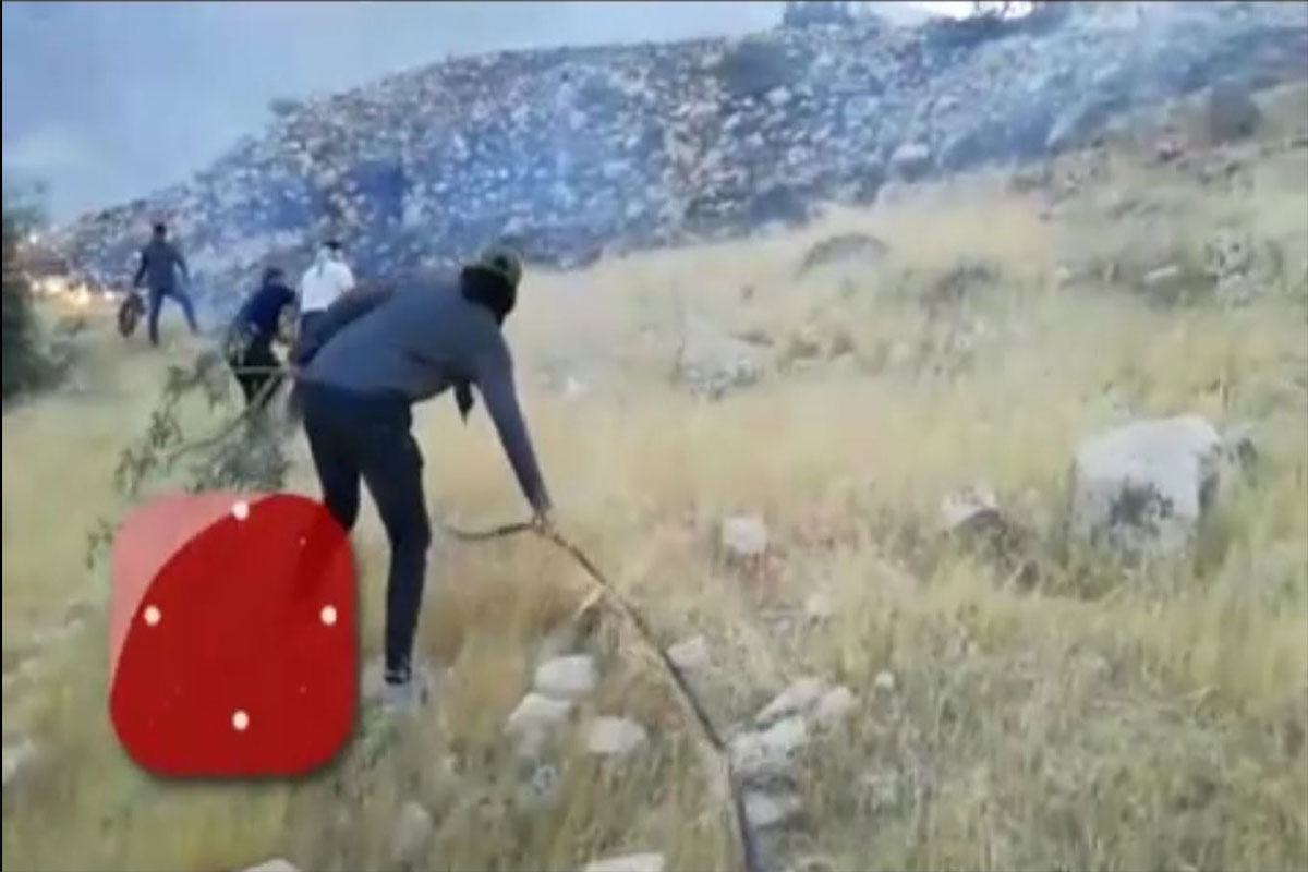 جدال آتش‌نشان‌ها با آتش در کوه‌‎های خاییز خوزستان