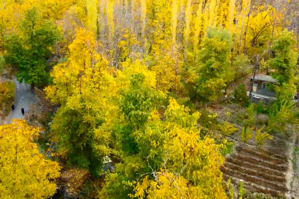 دلبریایی پاییز هزار رنگ در کردستان