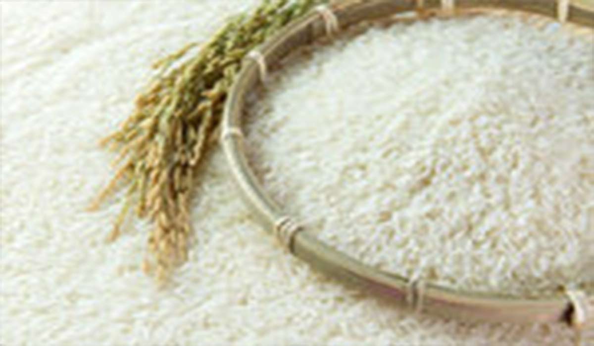 روشی ساده برای تشخیص برنج اصلی از برنج پلاستیکی