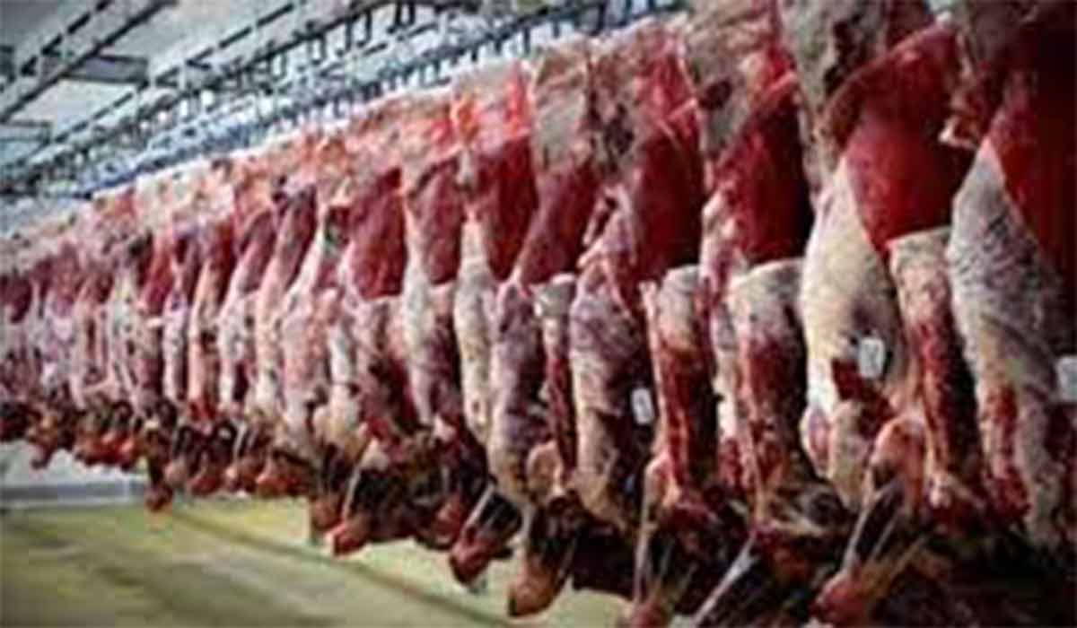 علت گران شدن گوشت؟!