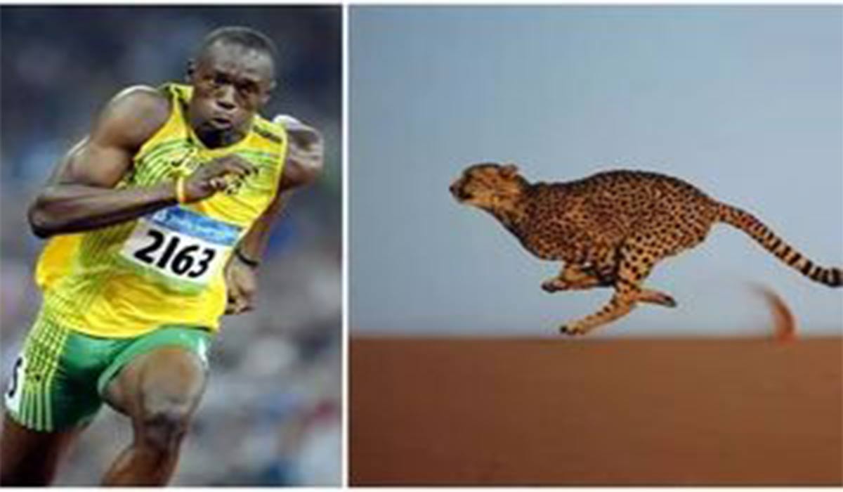 مقایسه سرعت دویدن انسان با سایر حیوانات