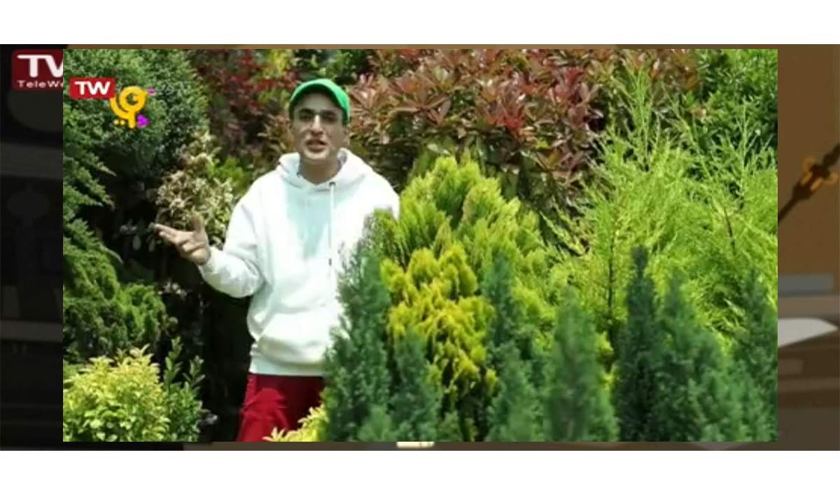 ماجراهای آقای جویا | گیاهان