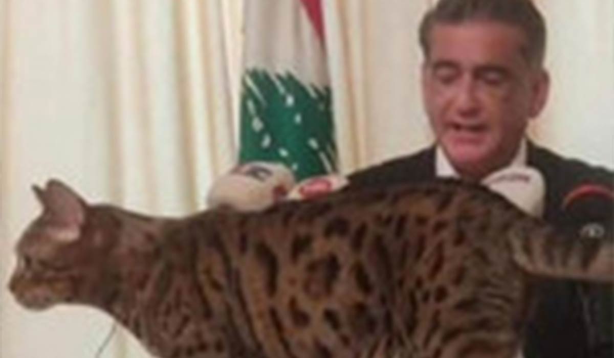 ورود گربه به یک کنفرانس خبری در لبنان!