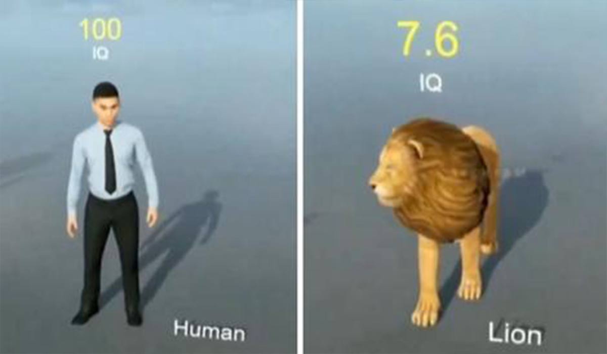 مقایسه بهره هوشی انسان با سایر حیوانات