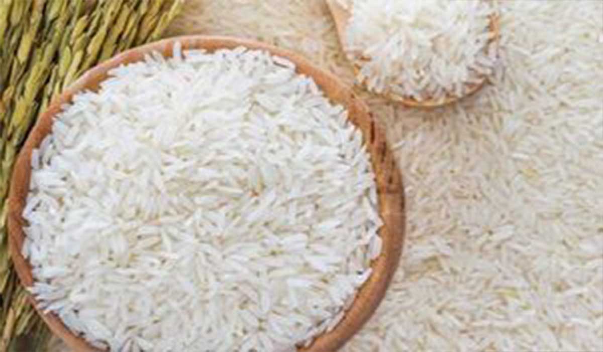 بهترین زمان برای خرید برنج