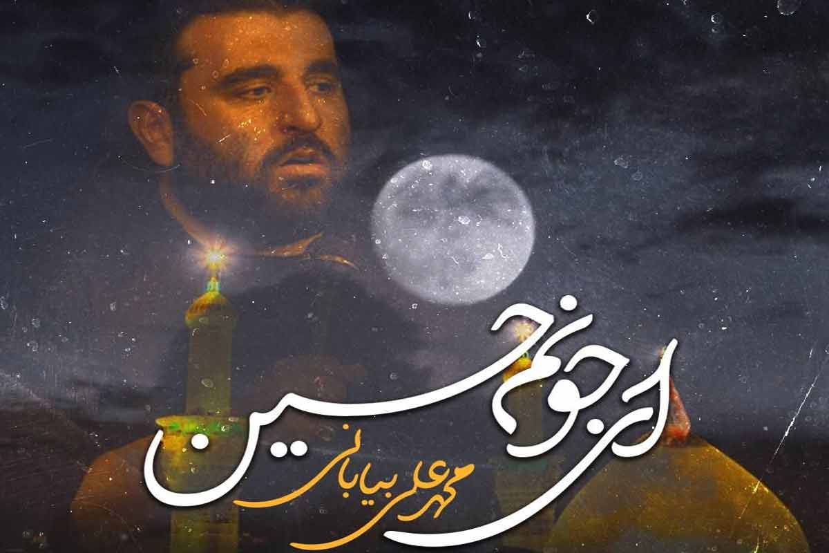 دستم و گرفتی و آوردی توی روضه هات/ محمد علی بیابانی