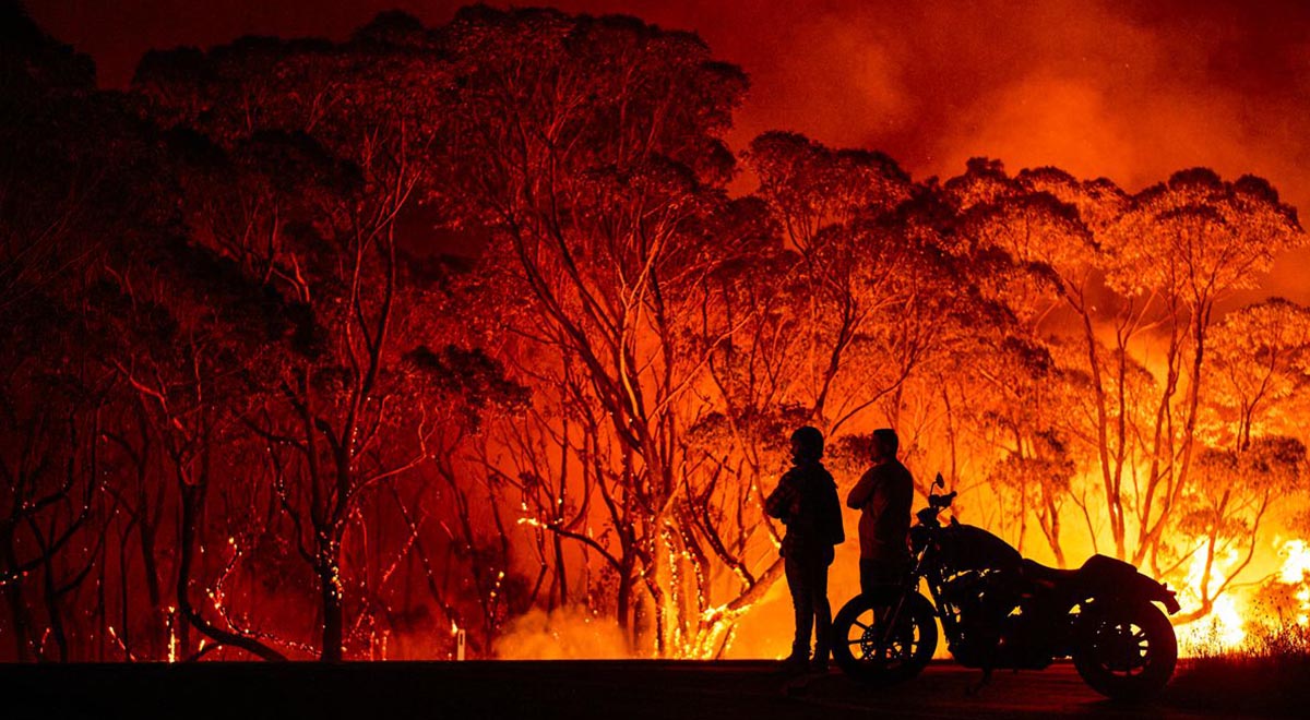 درس‌هایی که باید از آتش سوزی جنگل‌های استرالیا بگیریم
