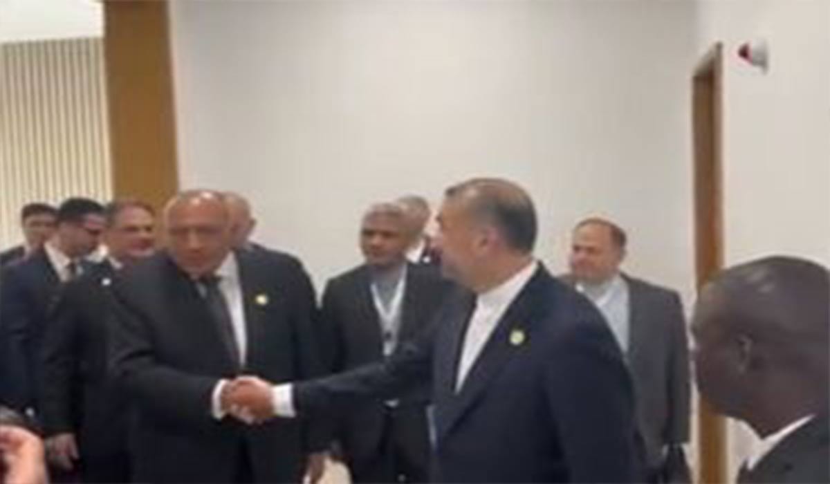ملاقات وزرای خارجه ایران و مصر ‌در گامبیا