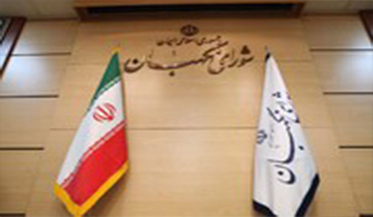 ادعای مصلحی درباره ردصلاحیت هاشمی رفسنجانی و پاسخ شورای نگهبان