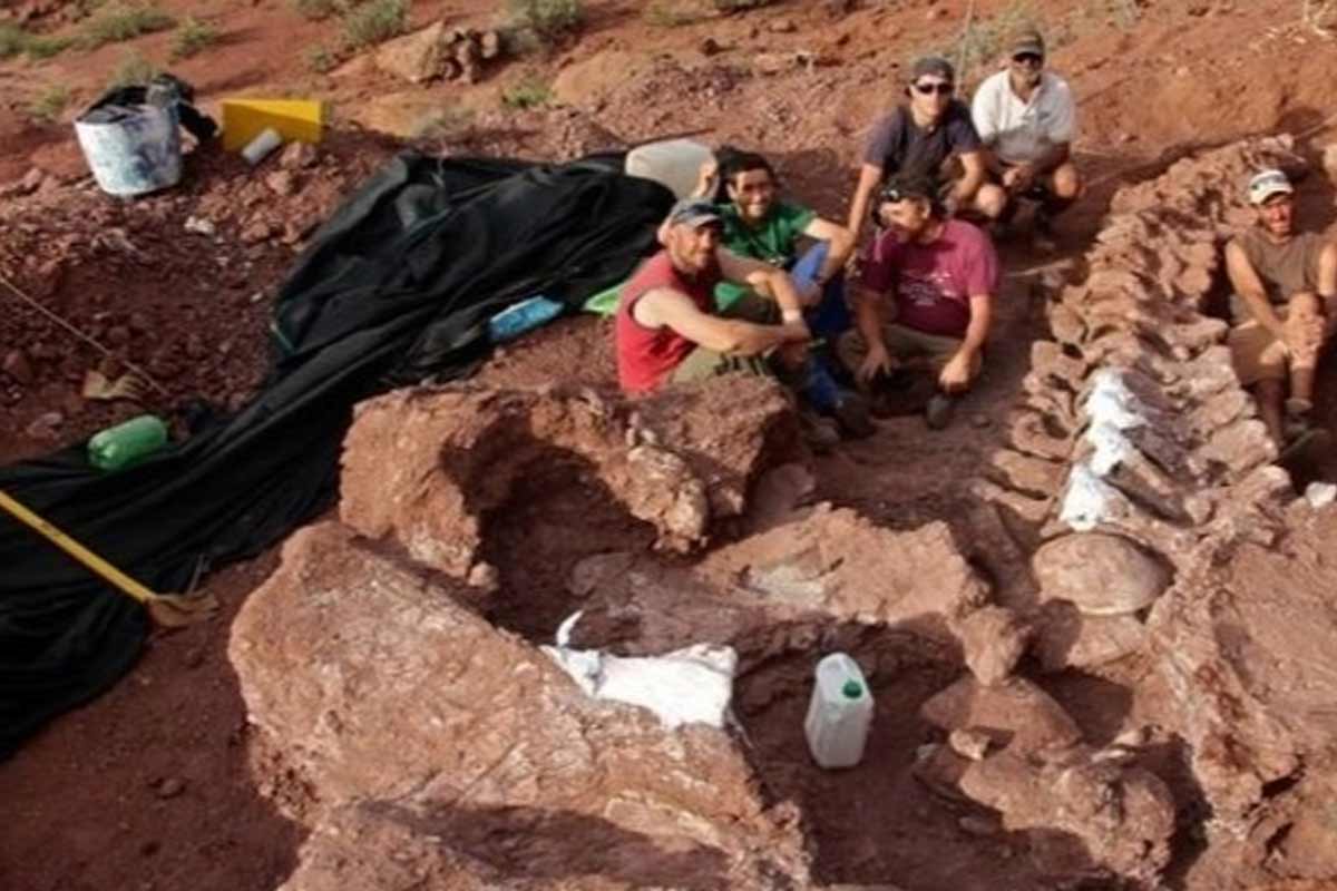 بقایای بزرگترین دایناسور روی زمین کشف شد